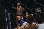 UFC Undisputed 3 (5)