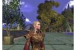 Vanguard : saga of Heroes - img1 (Small)