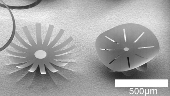 Verre imprimÃ© 3D