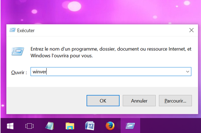 Version Windows 10 (1)