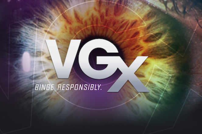 VGX 2013 - vignette