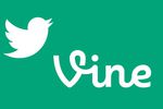 vine