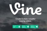 Vine