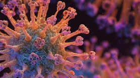 L'Asie en alerte face à la résurgence du virus Nipah en Inde