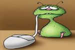 virus-souris
