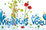 voeux-general