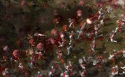 Warhammer Battle March Xbox 360 7
