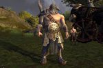 Warhammer Online Age of Reckoning 5