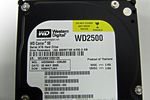 WD250KS