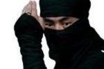Web-Ninjas