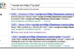 Websense-LizaMoon-script-google