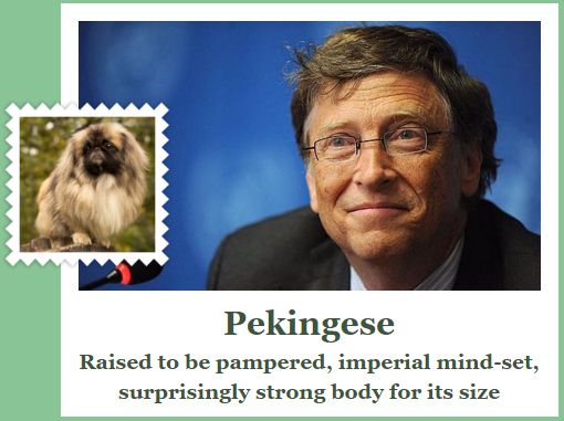 What-Dog-Bill-Gates