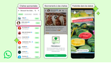 Un sursis pour la publicité sur WhatsApp