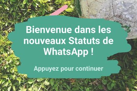 WhatsApp-Statuts