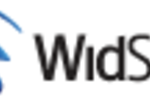 WidSets final logo