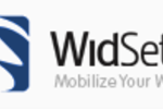 WidSets logo