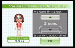 Wii Fit (12)