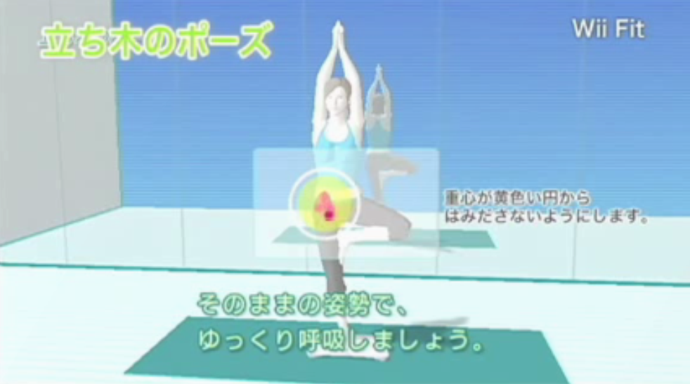 Wii fit 12