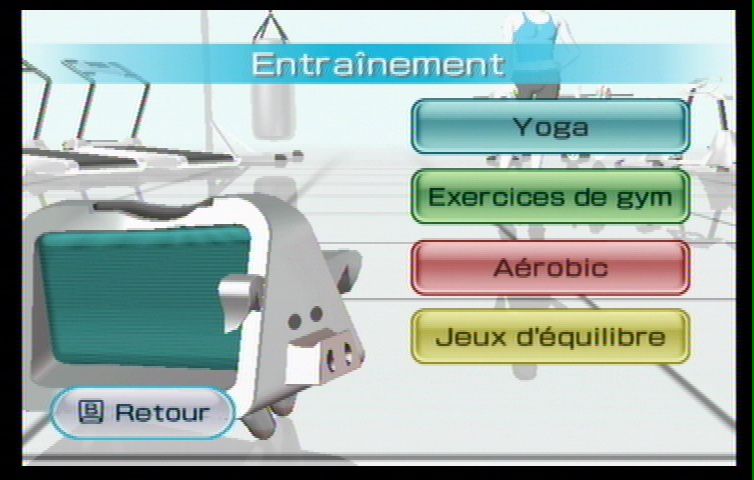 Wii Fit (21)