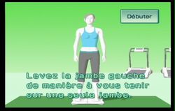 Wii Fit (25)