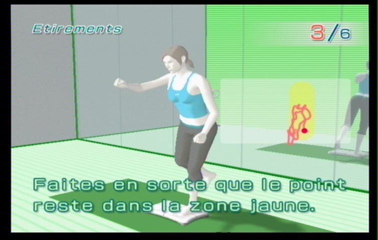 Wii Fit (28)