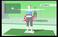 Wii Fit (60)