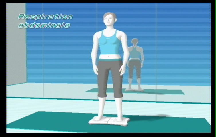 Wii Fit (67)