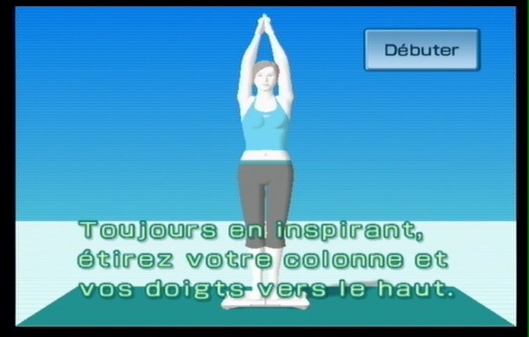 Wii Fit (68)