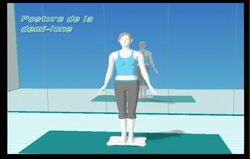 Wii Fit (69)
