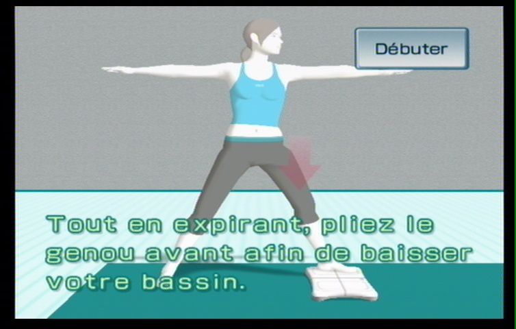 Wii Fit (71)