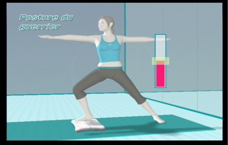 Wii Fit (72)