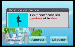 Wii Fit (73)
