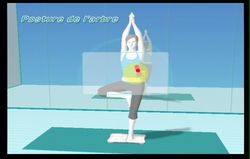 Wii Fit (75)