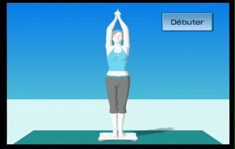 Wii Fit (76)