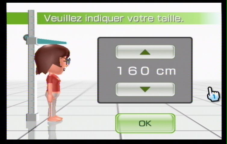 Wii Fit (79)