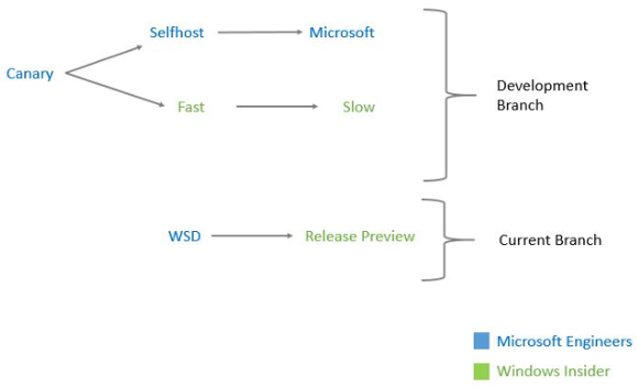 Windows-10-preview-branches