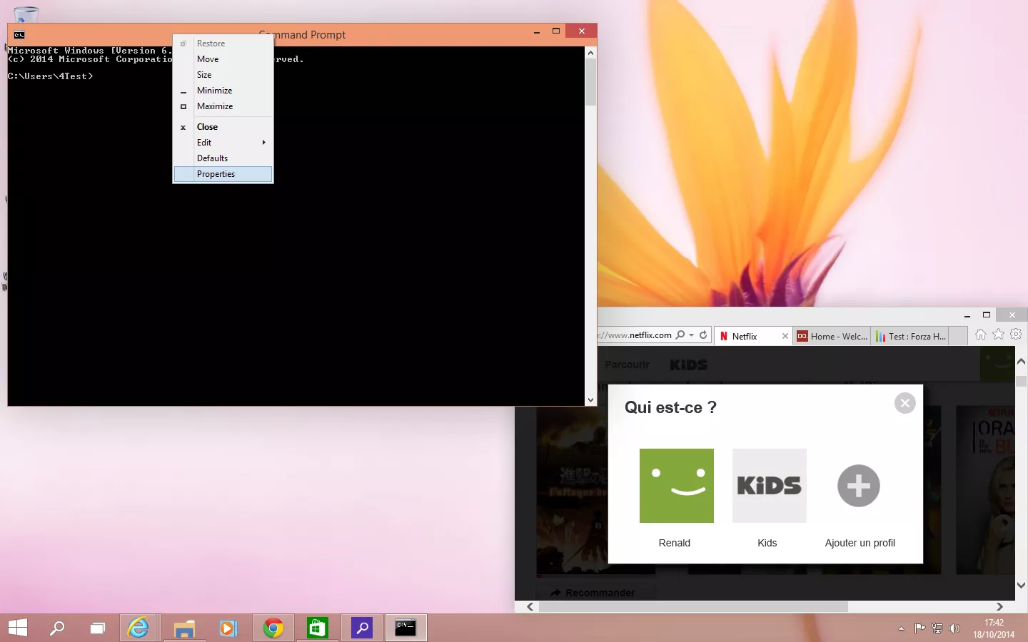 Windows_10_Technical_Preview_Command_Prompt_b