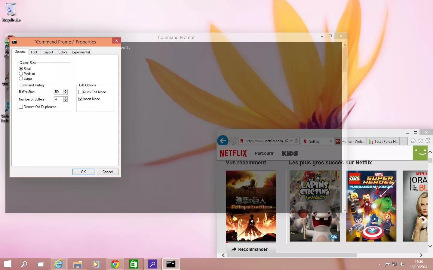 Windows_10_Technical_Preview_Command_Prompt_d