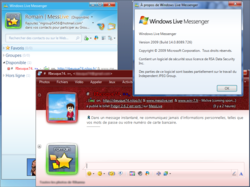 Windows Live Messenger 2009 screen1