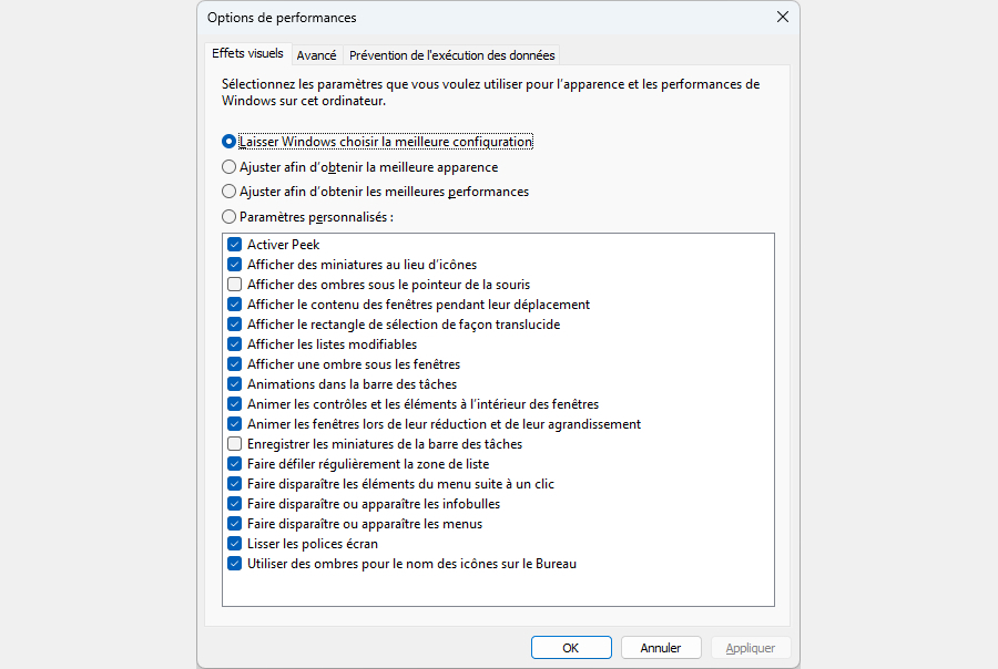 windows-options-performances-effets-visuels