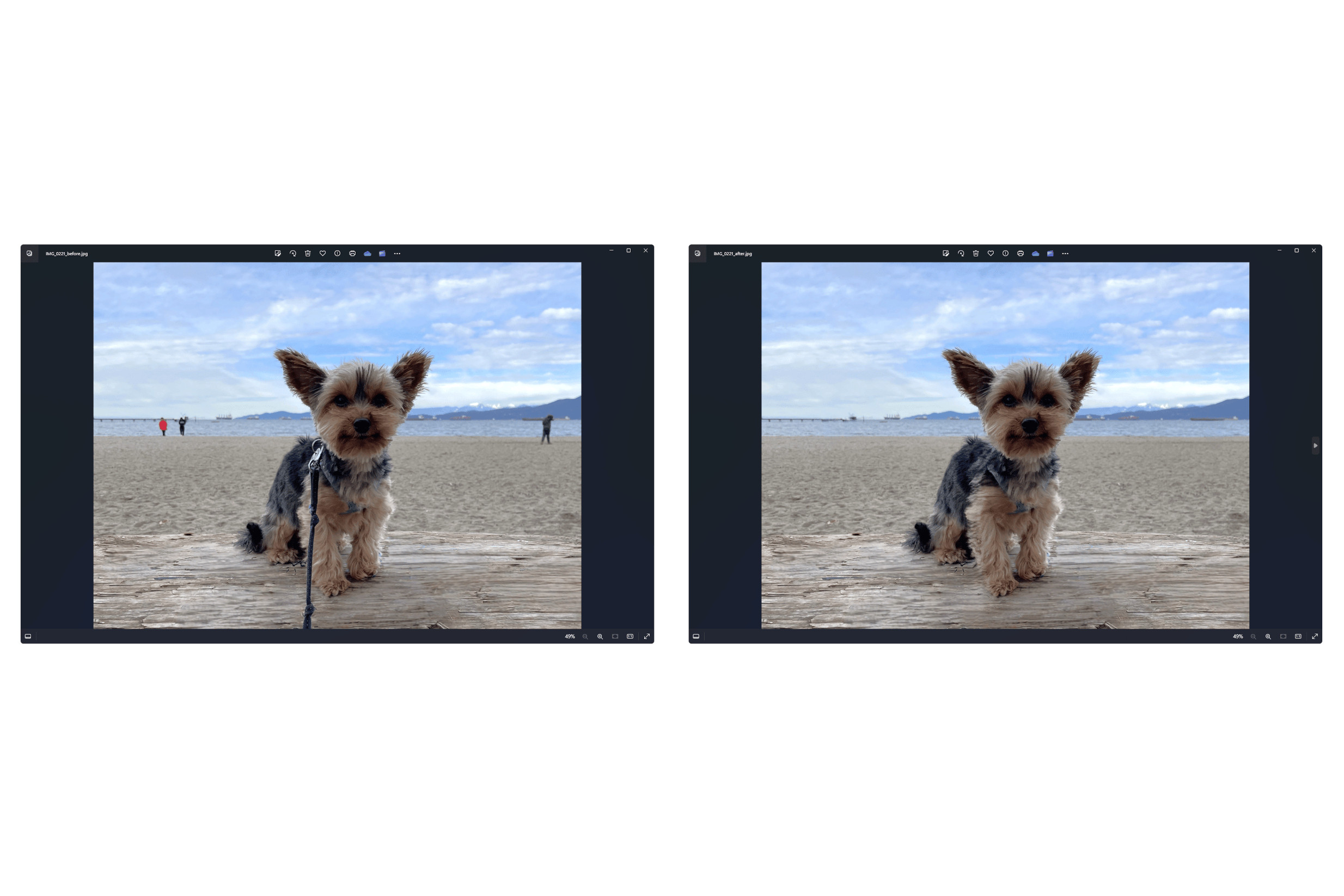 windows-photos-generative-erase