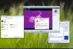 Windows Vista build 5231