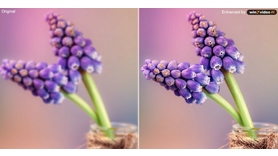 Winxvideo AI : améliorez et convertissez gratuitement vos vidéos et images en toute simplicité