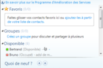 WL_Messenger_2009_beta