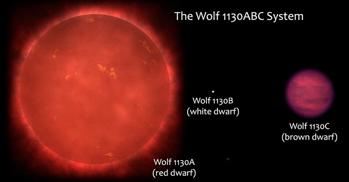 Wolf 1130 naine brune phosphine burgasser