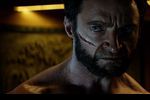 Wolverine DARPA
