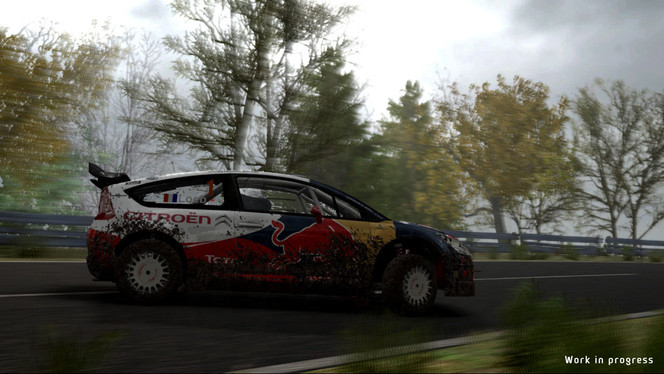 WRC - Image 5