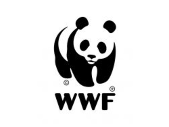 wwf logo (Small)