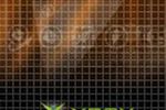 xbox_live