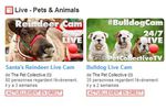 youtube live